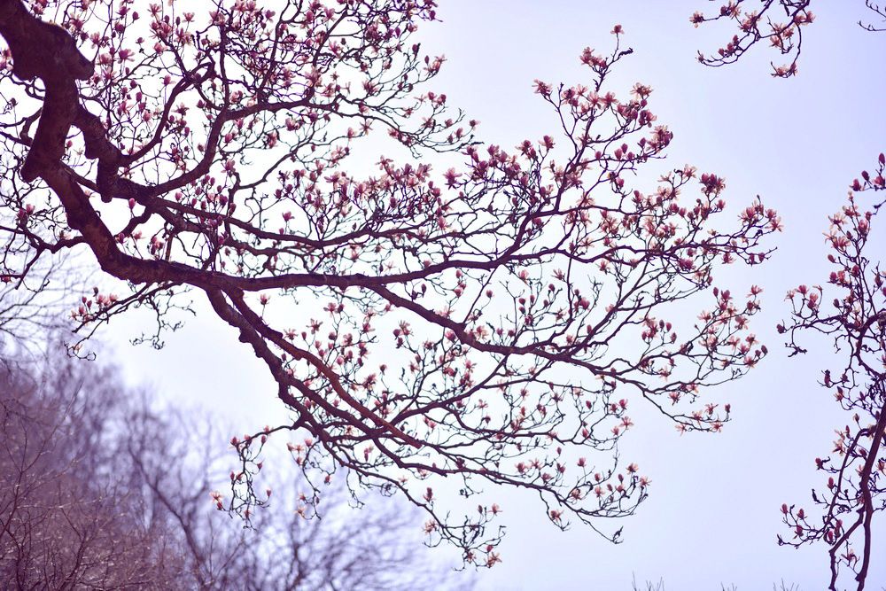18.pic_hd