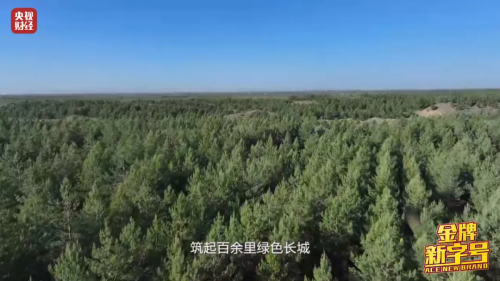 创造奇迹!这颗塞上“明珠”,世界瞩目→